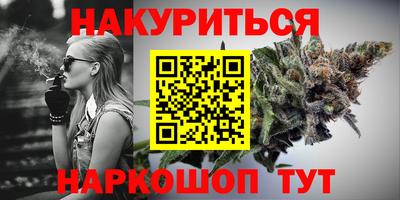 сатива Нальчик