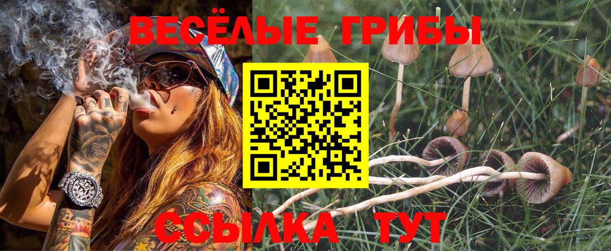 Ростов Великий  Псилоцибиновые грибы Psilocybine cubensis  Галлюциногенные грибы ЛСД  Вход с VPN 